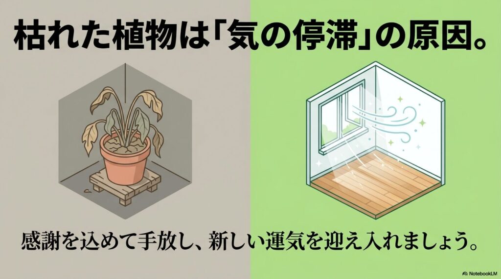 枯れた植物が運気の停滞を招く理由と、感謝して手放すことの重要性を説明するスライド。